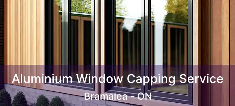  Aluminium Window Capping Service Bramalea - ON
