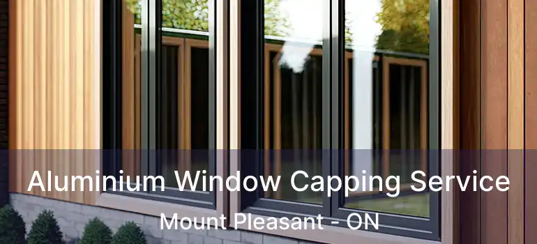  Aluminium Window Capping Service Mount Pleasant - ON
