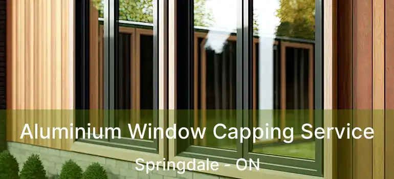  Aluminium Window Capping Service Springdale - ON