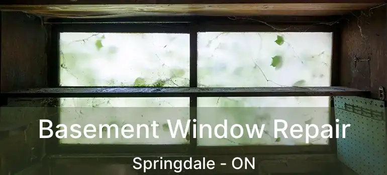  Basement Window Repair Springdale - ON