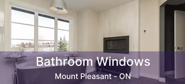  Bathroom Windows Mount Pleasant - ON