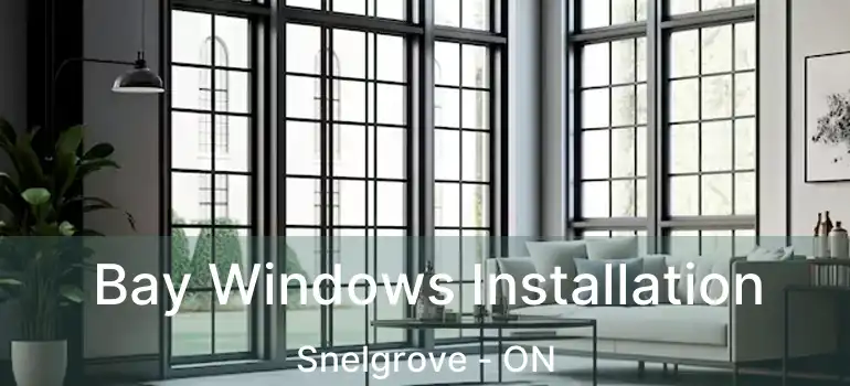  Bay Windows Installation Snelgrove - ON