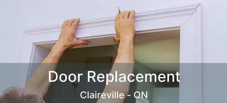  Door Replacement Claireville - ON