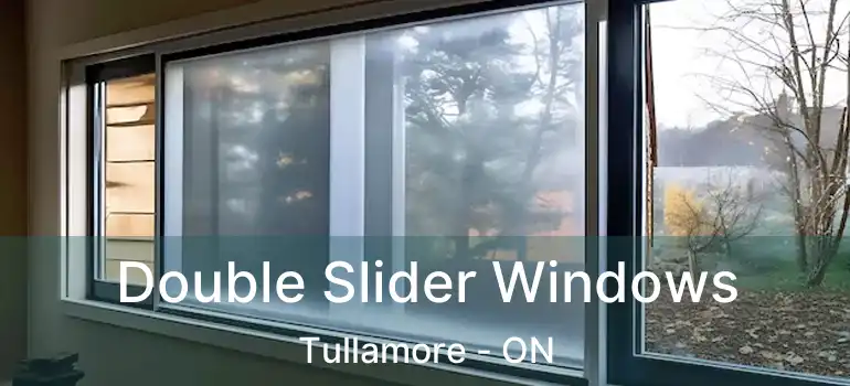  Double Slider Windows Tullamore - ON