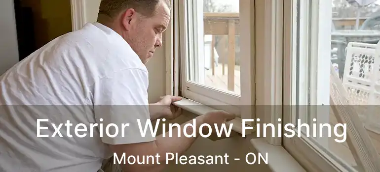  Exterior Window Finishing Mount Pleasant - ON