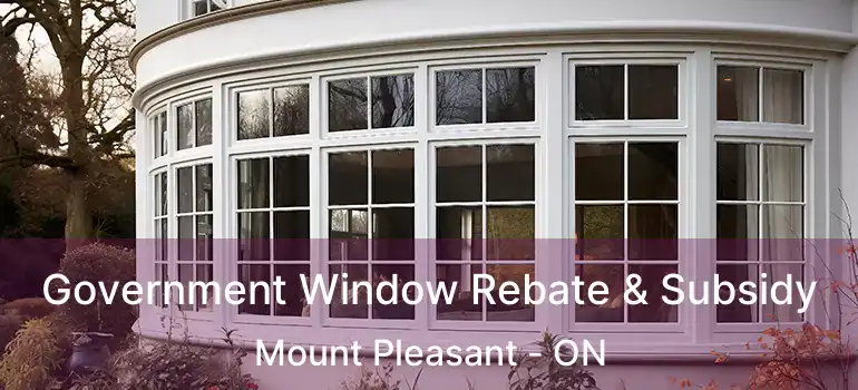  Government Window Rebate & Subsidy Mount Pleasant - ON