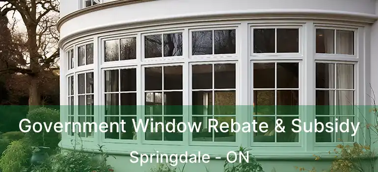  Government Window Rebate & Subsidy Springdale - ON