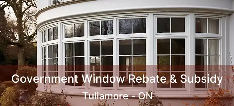  Government Window Rebate & Subsidy Tullamore - ON