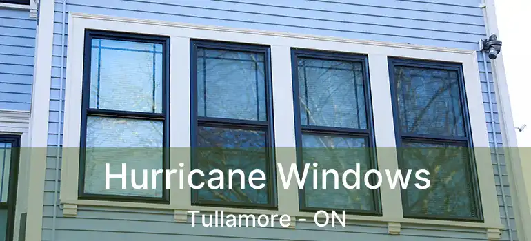  Hurricane Windows Tullamore - ON