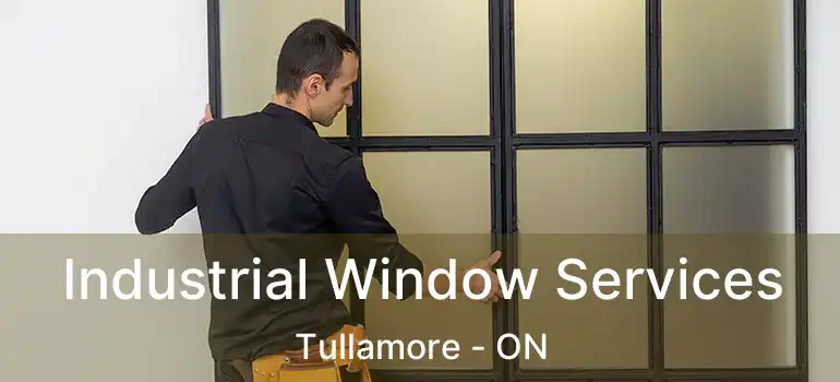  Industrial Window Services Tullamore - ON