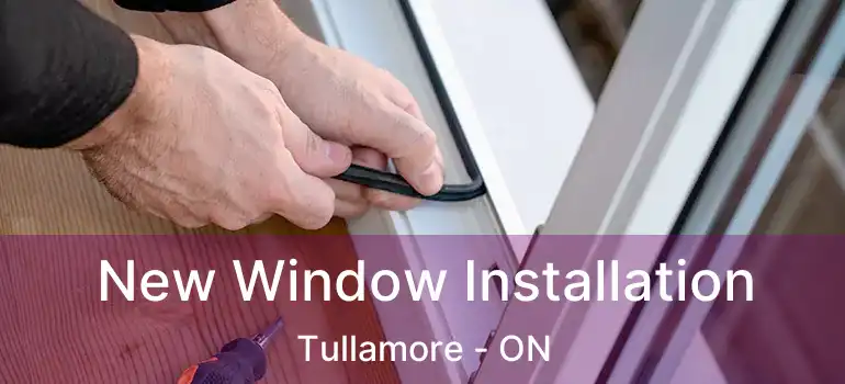  New Window Installation Tullamore - ON