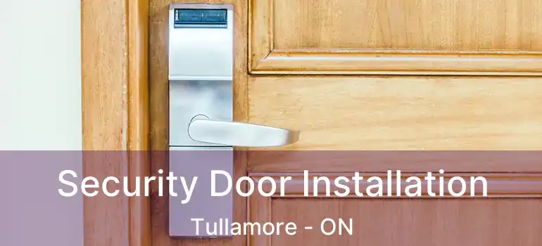  Security Door Installation Tullamore - ON