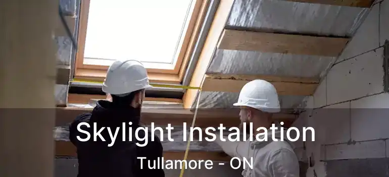  Skylight Installation Tullamore - ON