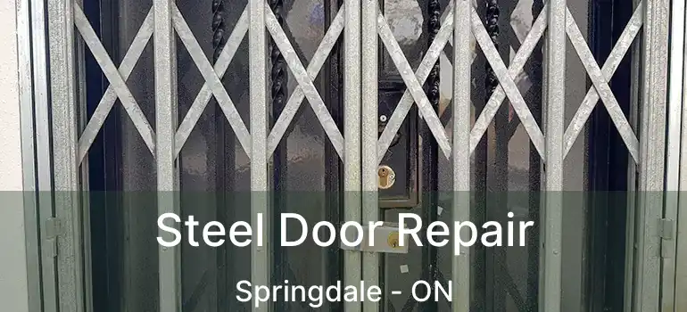  Steel Door Repair Springdale - ON