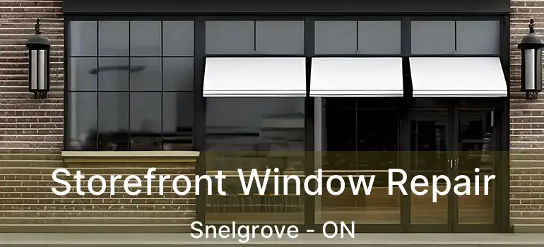  Storefront Window Repair Snelgrove - ON