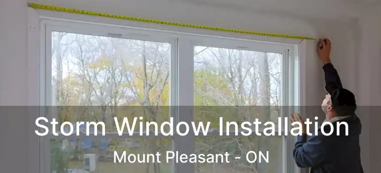  Storm Window Installation Mount Pleasant - ON