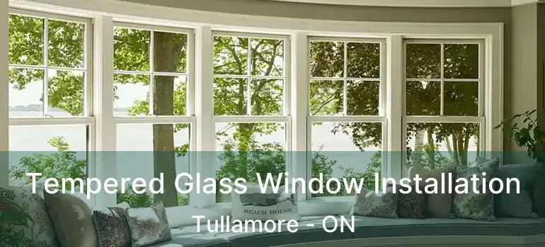  Tempered Glass Window Installation Tullamore - ON