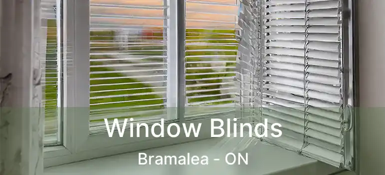  Window Blinds Bramalea - ON