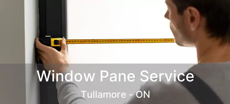  Window Pane Service Tullamore - ON